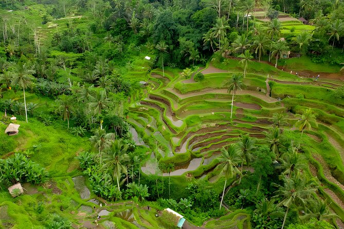 Bali ATV Ride And Ubud Tour Packages : Best Quad Bike Trip - Inclusions