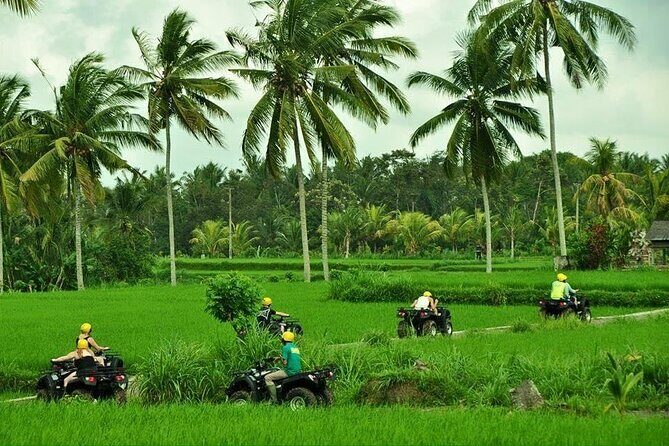 Bali ATV Ride tour Ubud - An Authentic Adventure Into Bali’s Countryside