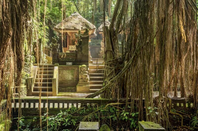 Bali: ATV, Water Rafting, and Monkey Forest Tour - Final Thoughts
