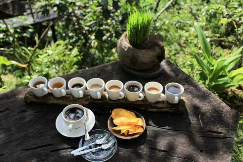 Bali: Authentic Culinary Street Food Experience Tour - Who Will Love This Tour?