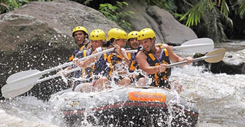 Bali: Ayung River Premium White Water Rafting With Lunch - Key Points