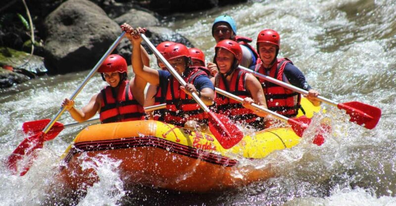 Bali: Ayung River Rafting Adventure (Private Hotel Transfer) - Key Points
