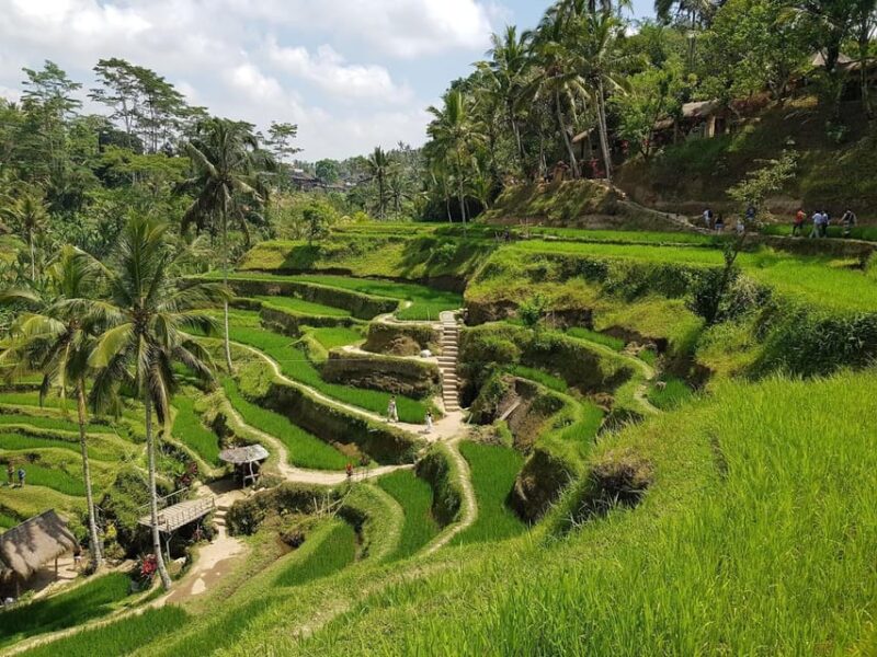 Bali Ayung River Rafting and Kintamani Volcano View Tour - Itinerary and Locations