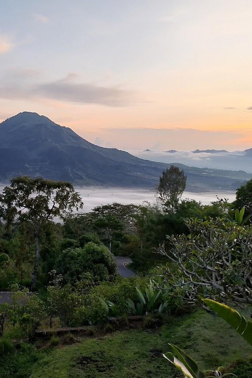 Bali Ayung River Rafting and Kintamani Volcano View Tour - Tegallalang Rice Terrace