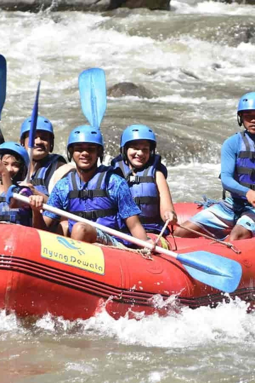 Bali: Ayung River Rafting and Swing Adventure With Lunch - Activity Overview