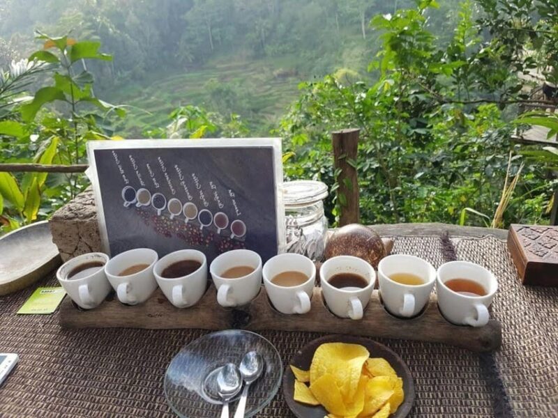 Bali : Ayung River Rafting With Kintamani Volcano Tour - Key Points