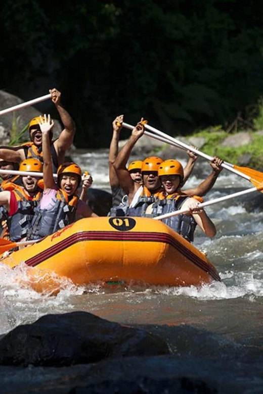 Bali : Ayung River Rafting With Kintamani Volcano Tour - Adventure Highlights