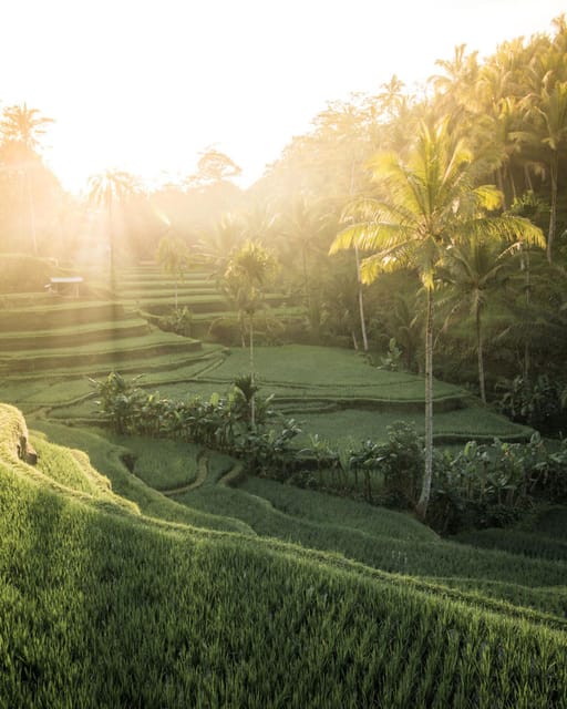 Bali : Ayung River Rafting With Kintamani Volcano Tour - Pickup and Drop-off Locations