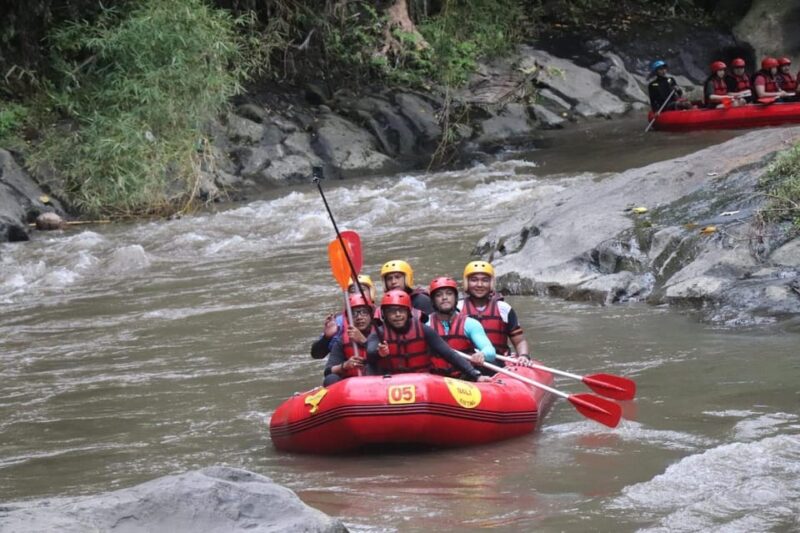 Bali Ayung River Rafting With Lunch - Overview and Pricing