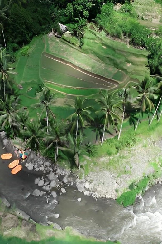 Bali : Ayung River White Water Rafting With Lunch - Rafting Experience