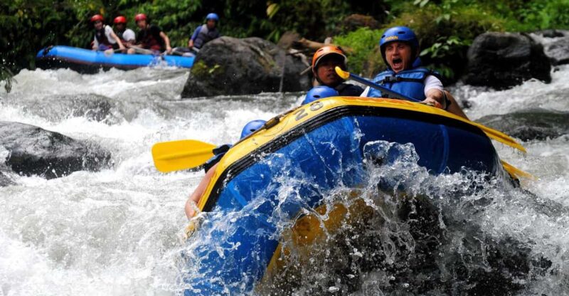 Bali: Ayung River White Water Rafting With Lunch & Transfer - Pricing and Booking