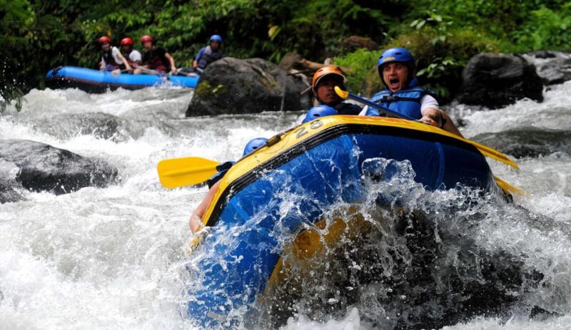 Bali: Ayung River White Water Rafting With Lunch & Transfer - Itinerary Details