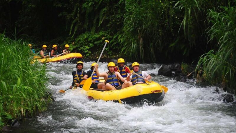 Bali: Ayung River White Water Rafting With Lunch & Transfer - Inclusions and Amenities