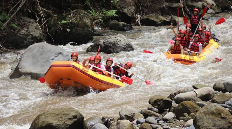 Bali: Ayung River White Water Rafting With Lunch & Transfer - Important Considerations