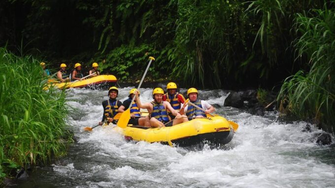 Bali: Ayung River White Water Rafting With Lunch & Transfer - Pickup and Transportation