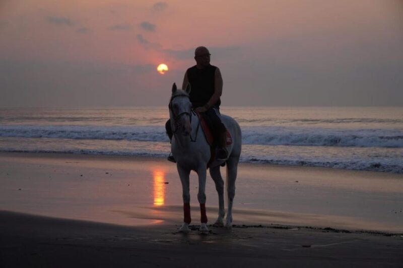 Bali: Bali Beach Horse Riding Experience - Key Points