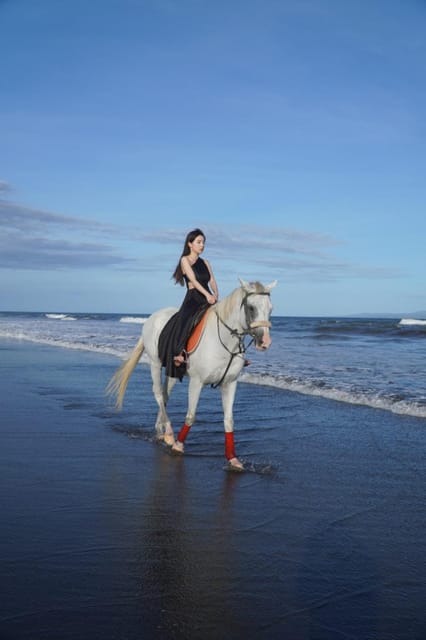Bali: Bali Beach Horse Riding Experience - Languages Offered