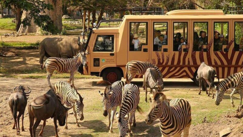 Bali: Bali Safari Park Day Trip With Entrance and Transfers - Key Points