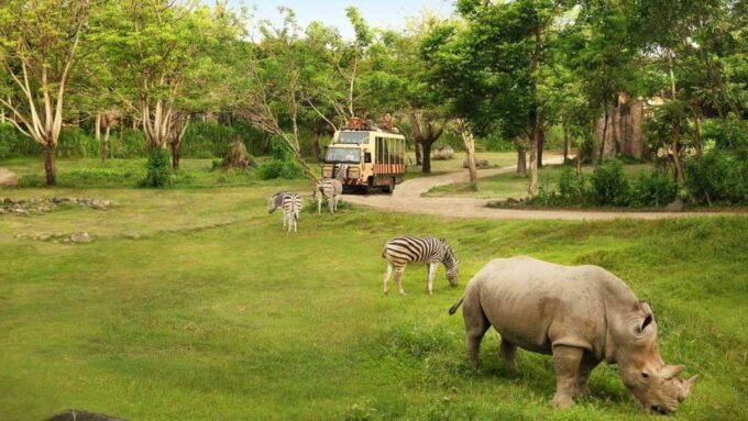Bali: Bali Safari Park Day Trip With Entrance and Transfers - Customer Feedback