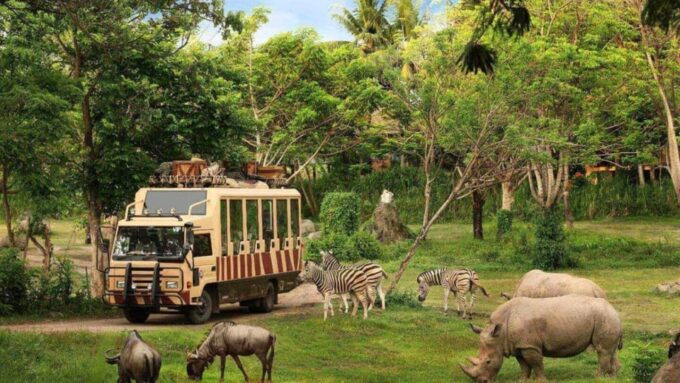 Bali: Bali Safari Park Day Trip With Entrance and Transfers - Frequently Asked Questions