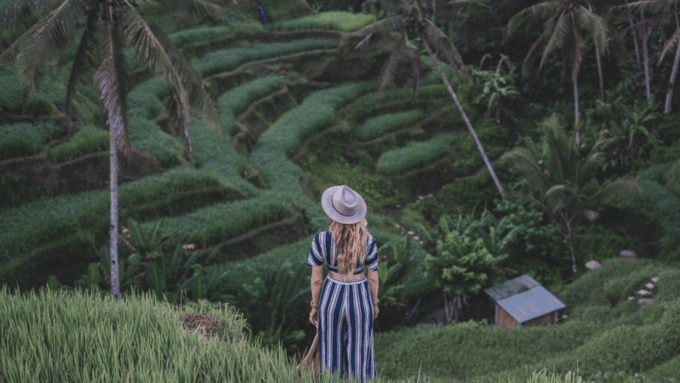 Bali: Bali Swing, Rice Terrace, & Waterfall - The Bali Swing Experience