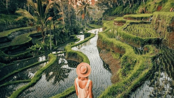 Bali: Bali Swing, Rice Terrace, & Waterfall - Frequently Asked Questions