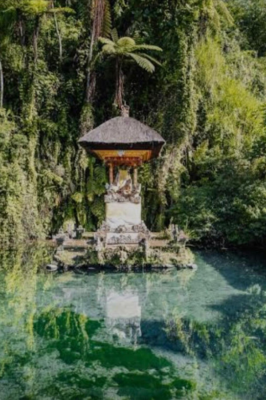 Bali: Balinese Purification at Holy Water Temple - Cultural Experience