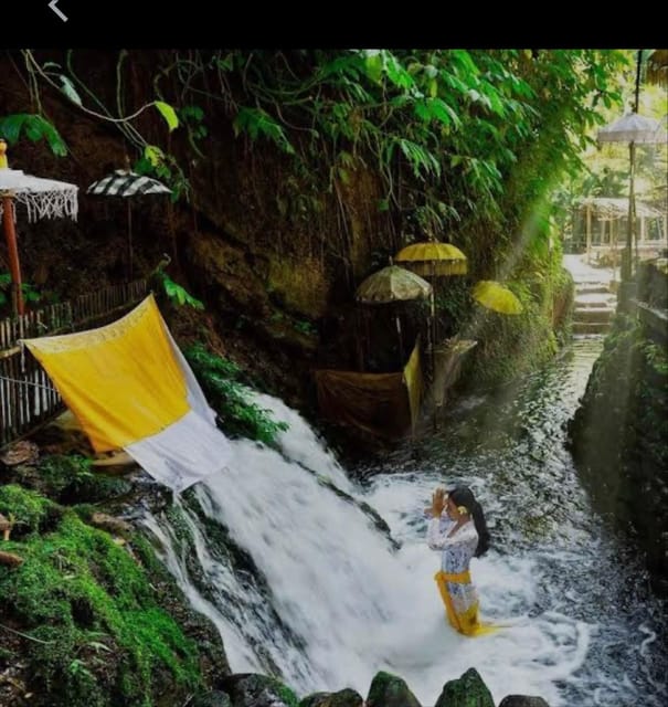 Bali: Balinese Purification at Holy Water Temple - Itinerary Highlights