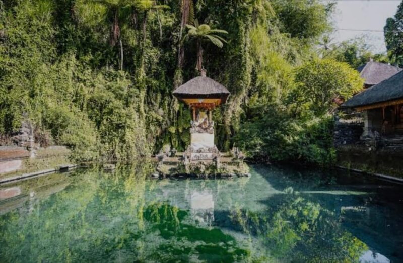 Bali: Balinese Purification at Holy Water Temple - Visitor Requirements