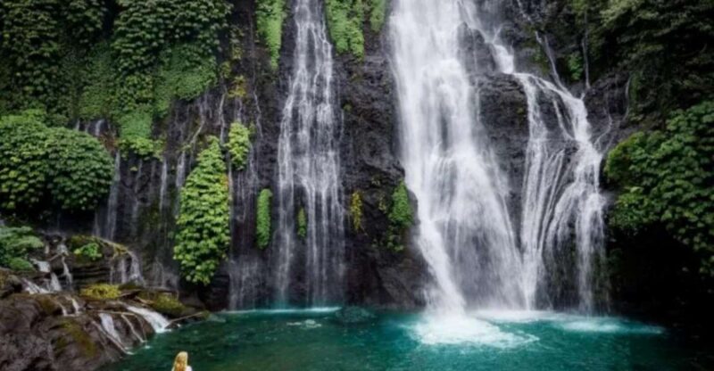 Bali: Banyumala Waterfall, Unesco World Heritage, Temple - Key Points