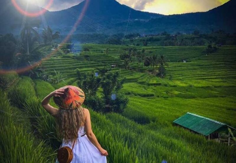 Bali: Banyumala Waterfall, Unesco World Heritage, Temple - Jatiluwih Rice Terraces