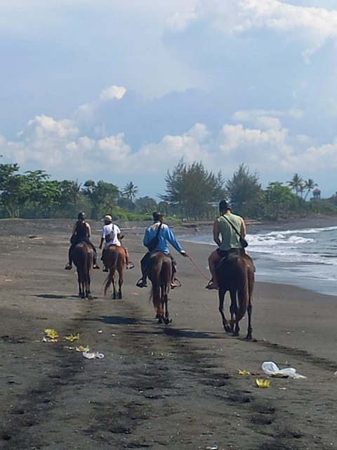 Bali : Beach Horse Riding Experience & Hidden Waterfall - Itinerary and Schedule Details
