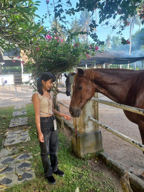 Bali : Beach Horse Riding Experience & Hidden Waterfall - Inclusions and Exclusions