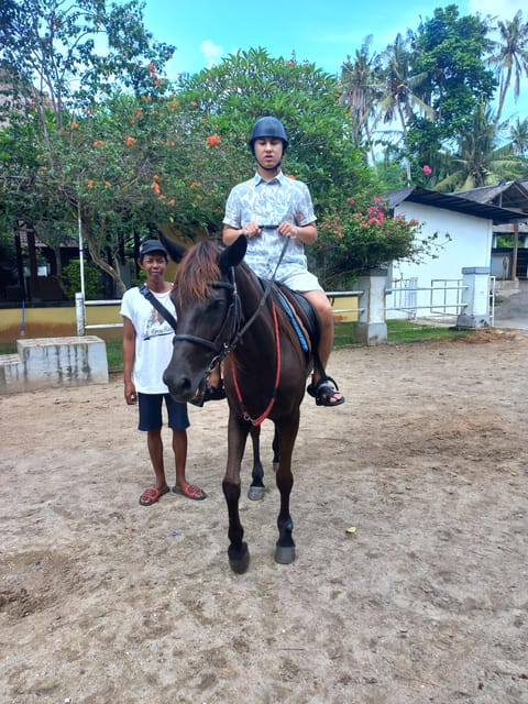 Bali : Beach Horse Riding Experience & Hidden Waterfall - Customer Feedback and Ratings