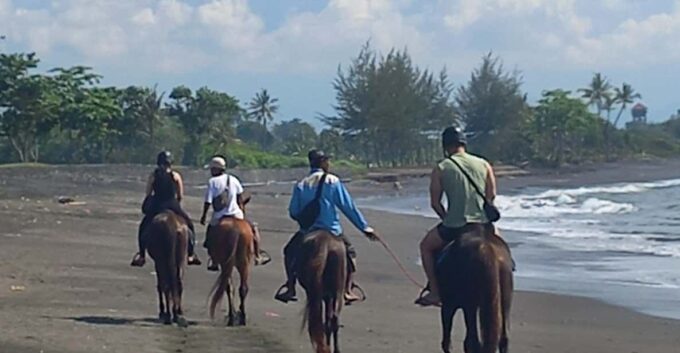 Bali : Beach Horse Riding Experience & Hidden Waterfall - Frequently Asked Questions