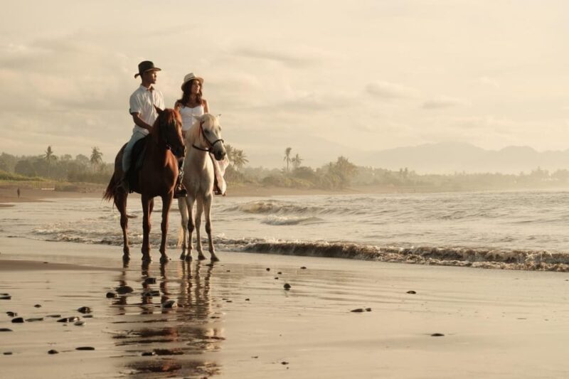 Bali : Beach Horse Riding & Photoshoot - Key Points