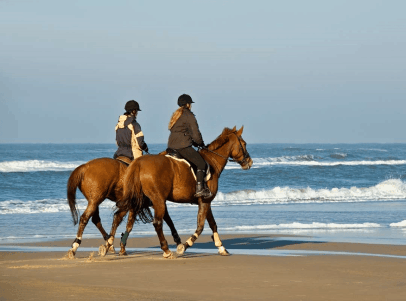 Bali : Beach Horse Riding & Photoshoot - Guest Weight Limit