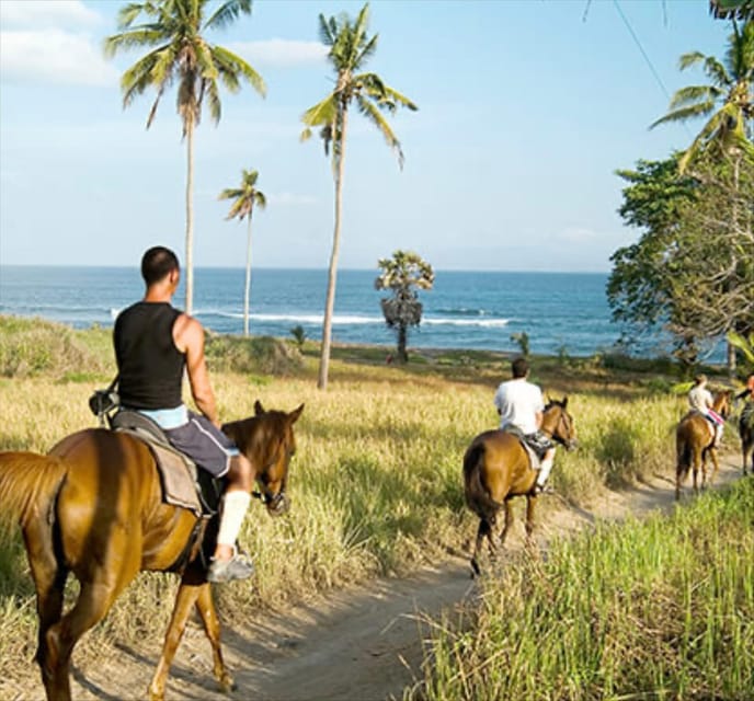 Bali: Beach Horse Riding - Booking Information