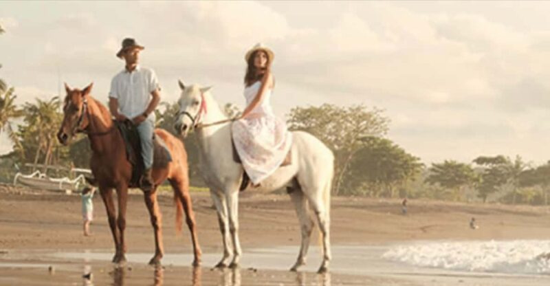 Bali: Beach Horse Riding - Transportation and Pickup