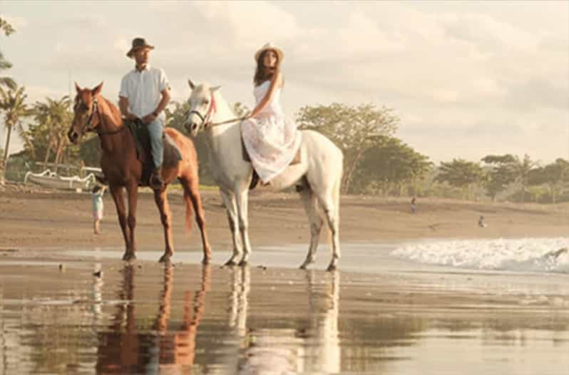 Bali: Beach Horse Riding - Experience Details