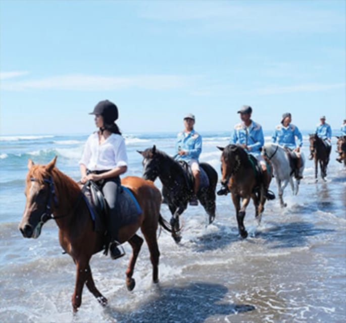 Bali: Beach Horse Riding - Participant Guidelines