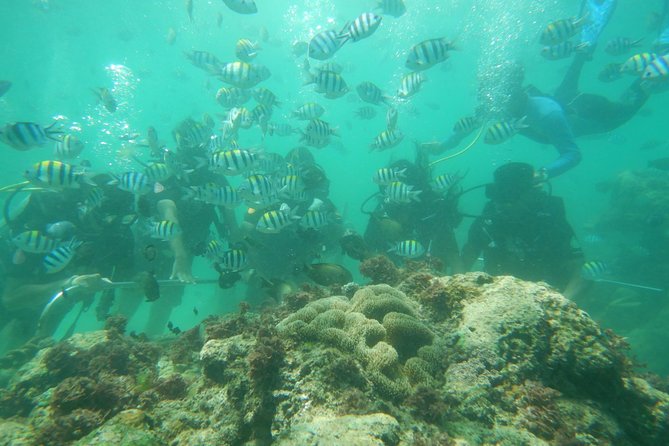 Bali Beaches Hopping - Uluwatu Temple - Padang Padang Beach