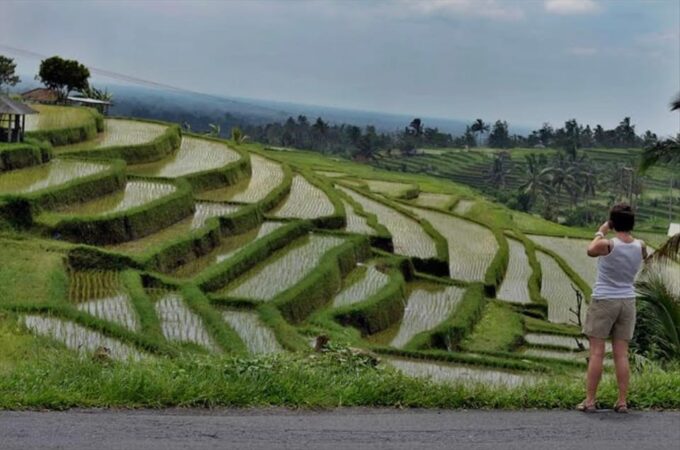 Bali: Bedugul, Jatiluwih, Taman Ayun, Tanah Lot Private Tour - Frequently Asked Questions