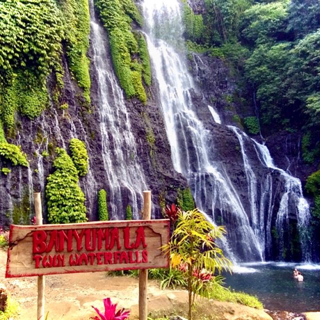 Bali: Bedugul Lake Temple, Twin Waterfall & Rice Field Tour - Important Information
