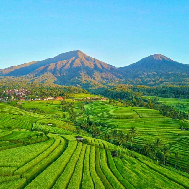 Bali: Bedugul Lake Temple, Twin Waterfall & Rice Field Tour - Explore Balis Natural Beauty