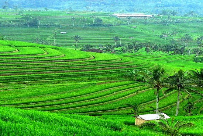 Bali: Bedugul Lake Temple, Twin Waterfall, UNESCO Rice Field - Bedugul Lake Temple