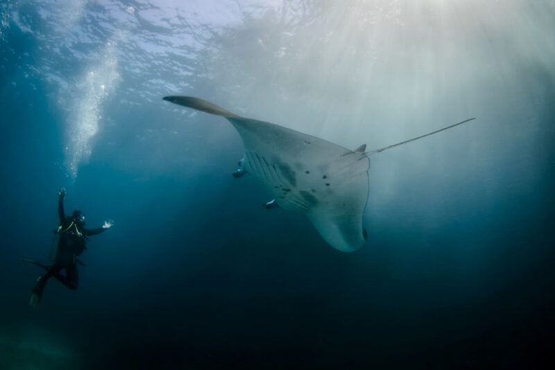 Bali Benoa: Lembongan Reef & Water Activities Day Cruise - Participant Information
