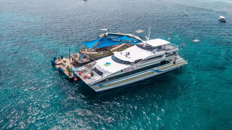 Bali Benoa: Lembongan Reef & Water Activities Day Cruise - Customer Reviews and Ratings