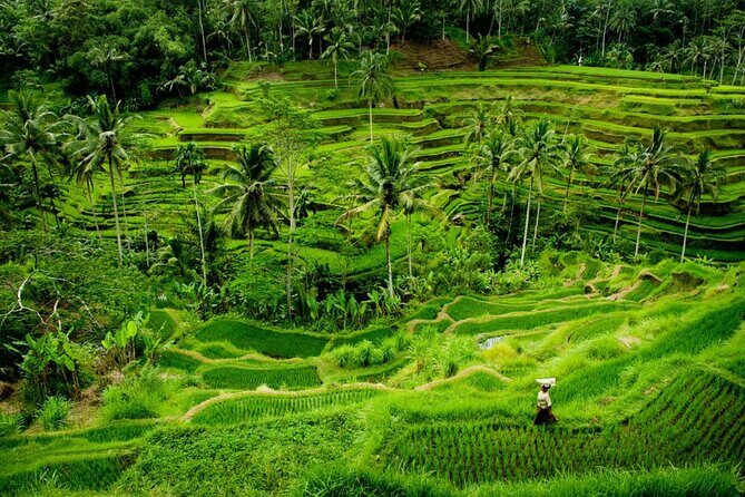 Bali Benoa Shore Excursion for Cruise's Passenger - All Inclusive - FAQ