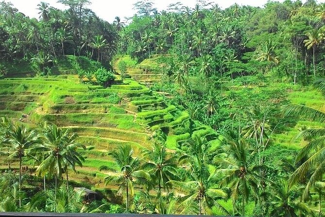 Bali Benoa Shore Excursion for Cruises Passenger - All Inclusive - Inclusions and Highlights
